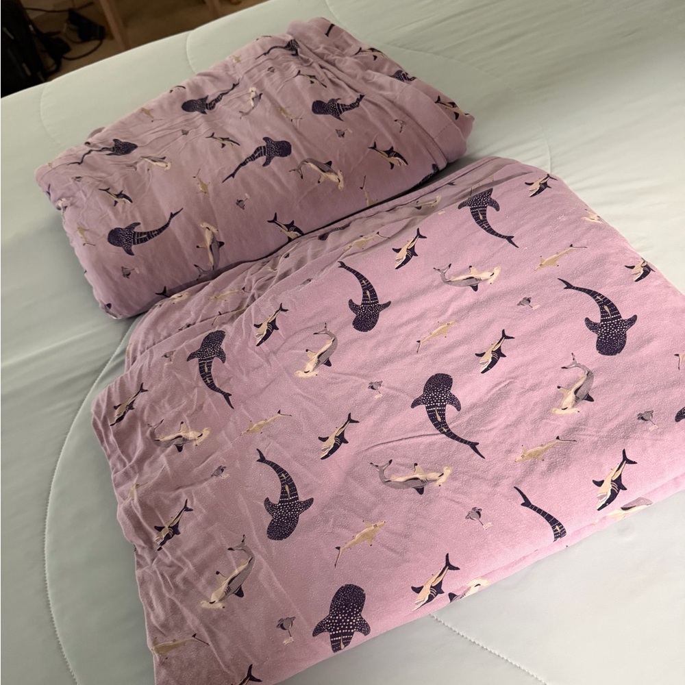 Kyte baby Taro Shark bundle